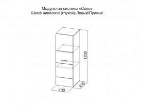 Шкаф навесной (глухой) Левый в Оханске - ohansk.magazin-mebel74.ru | фото