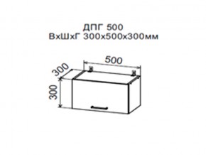 Шкаф верхний ДПГ500 горизонтальный в Оханске - ohansk.magazin-mebel74.ru | фото
