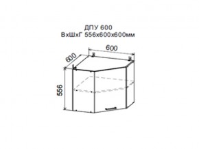 Шкаф верхний ДПУ600 угловой в Оханске - ohansk.magazin-mebel74.ru | фото
